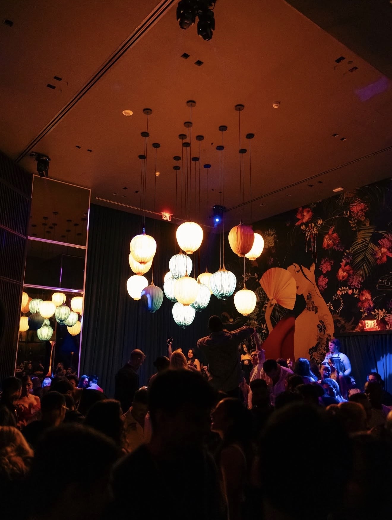 Gekko Miami Miami 2